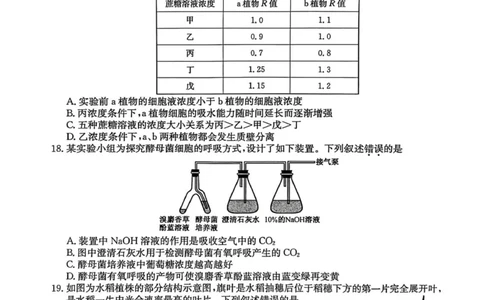 生物试题_2026年01月高一试卷_260127黑龙江省龙东十校联盟2025-2026学年高一上学期期末考试（全）_黑龙江省龙东十校联盟2025-2026学年高一上学期期末考试生物试题（图片版，含答案）