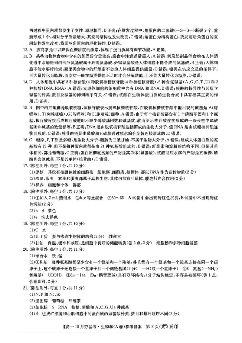 生物答案_2025年10月高一试卷_251022山西省三晋卓越联盟2025-2026学年高一10月夯基考（全）_山西省三晋卓越联盟2025-2026学年高一10月夯基考生物试题含答案