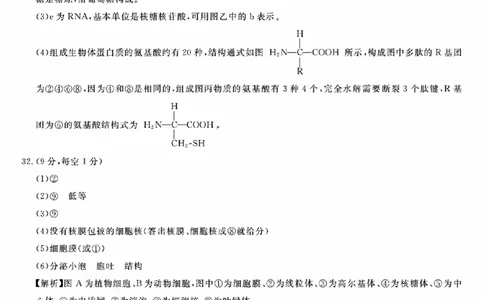 生物答案_2025年11月高一试卷_251126浙江省卓越高中联盟2025-2026学年高一上学期11月期中联考（全）_浙江省卓越高中联盟2025-2026学年高一上学期11月联考生物试题含答案