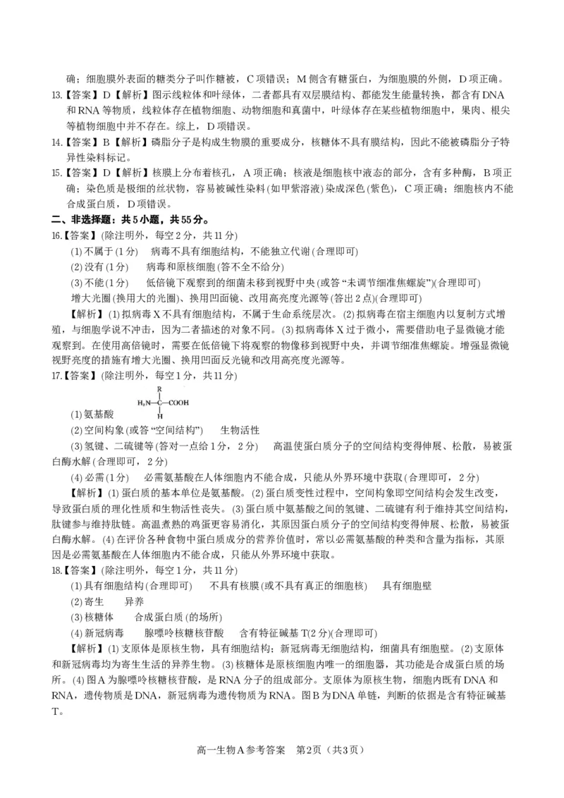 生物答案A&middot;安徽省皖江名校联盟2025-2026学年高一上学期期中联考_2025年11月高一试卷_251121安徽省皖江名校联盟2025-2026学年高一上学期期中联考（全）