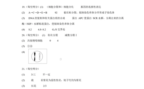 生物答案_2025年03月试卷_0324湖北省武汉市蔡甸区汉阳一中、江夏区第一中学、洪山高级中学2024-2025学年高一下学期3月联考