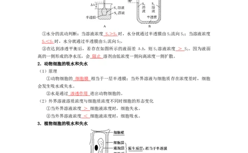 第11讲被动运输-精准备考备战2023年高考生物一轮复习精品讲义（生物学必修1）（解析版）_通用版（老高考）复习资料_2023年复习资料_一轮复习