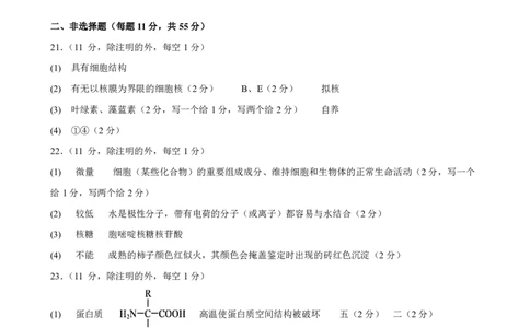 生物答案_2025年11月高一试卷_251128安徽合肥市六校联盟2025年秋季学期高一期中考试