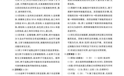 生物答案-高一青桐鸣大联考2025年12月联考_2025年12月高一试卷_251221河南省青桐鸣大联考2025-2026学年高一上学期12月月考（全）
