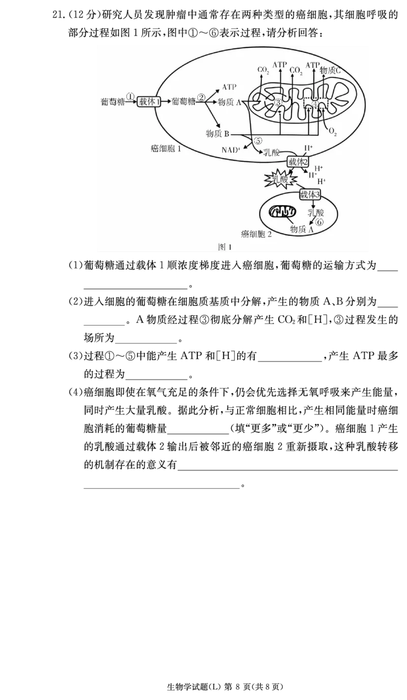 生物试卷（高一入学2期）_副本_2026年03月高一试卷_260325湖南长沙市长郡中学2025-2026学年高一下学期入学考试全科_06生物_湖南长沙市长郡中学高一下学期入学考试