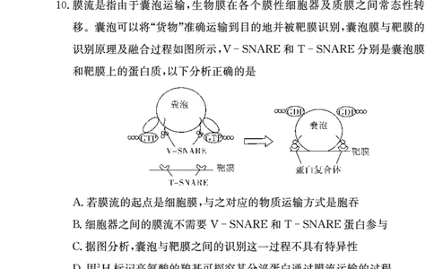 生物试卷（高一入学2期）_副本_2026年03月高一试卷_260325湖南长沙市长郡中学2025-2026学年高一下学期入学考试全科_06生物_湖南长沙市长郡中学高一下学期入学考试
