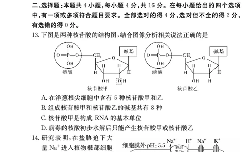 生物试卷（高一入学2期）_副本_2026年03月高一试卷_260325湖南长沙市长郡中学2025-2026学年高一下学期入学考试全科_06生物_湖南长沙市长郡中学高一下学期入学考试