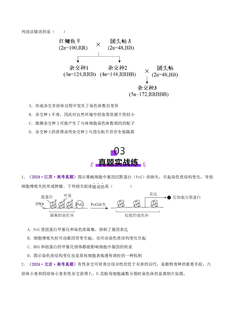 第10讲生物的变异和进化（专项训练，3大题型）（原卷版）_2025年新高考资料_二轮复习_01高考语文等多个文件_上好课2025年高考生物二轮复习讲练测（新高考通用）