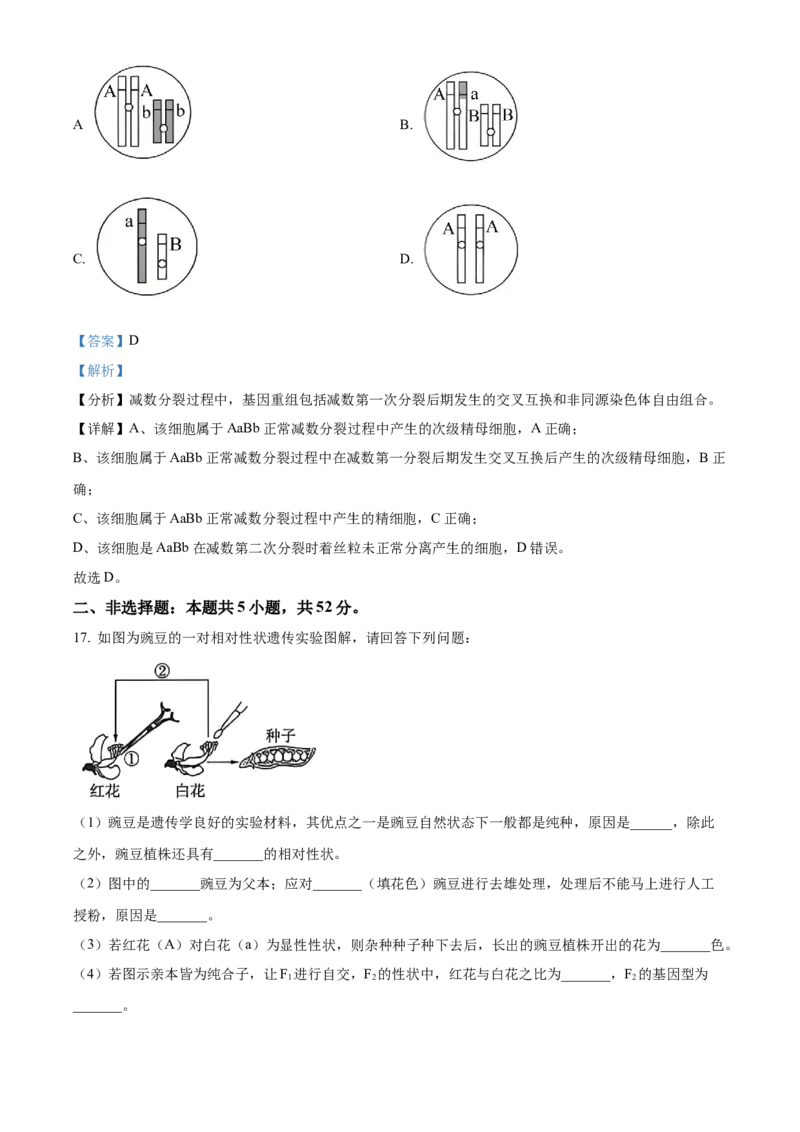 生物-百师联盟2025-2026学年高一下学期素养测评（一）_2026年04月高一试卷_260417百师联盟2025-2026学年高一下学期素养测评（一）