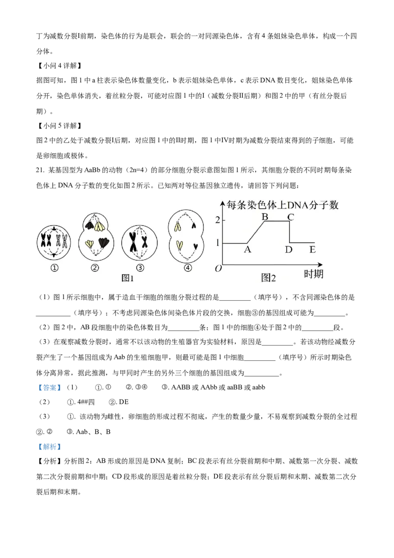 生物-百师联盟2025-2026学年高一下学期素养测评（一）_2026年04月高一试卷_260417百师联盟2025-2026学年高一下学期素养测评（一）