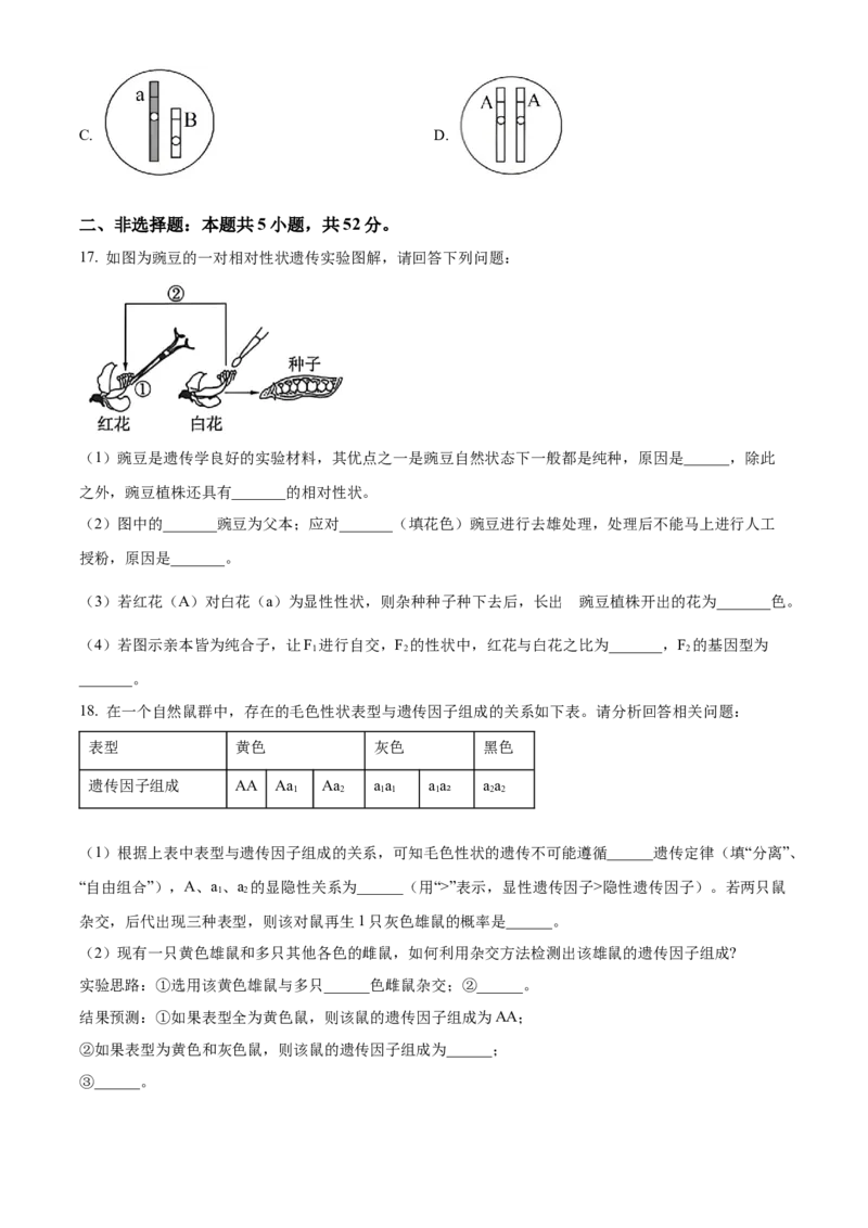 生物-百师联盟2025-2026学年高一下学期素养测评（一）_2026年04月高一试卷_260417百师联盟2025-2026学年高一下学期素养测评（一）
