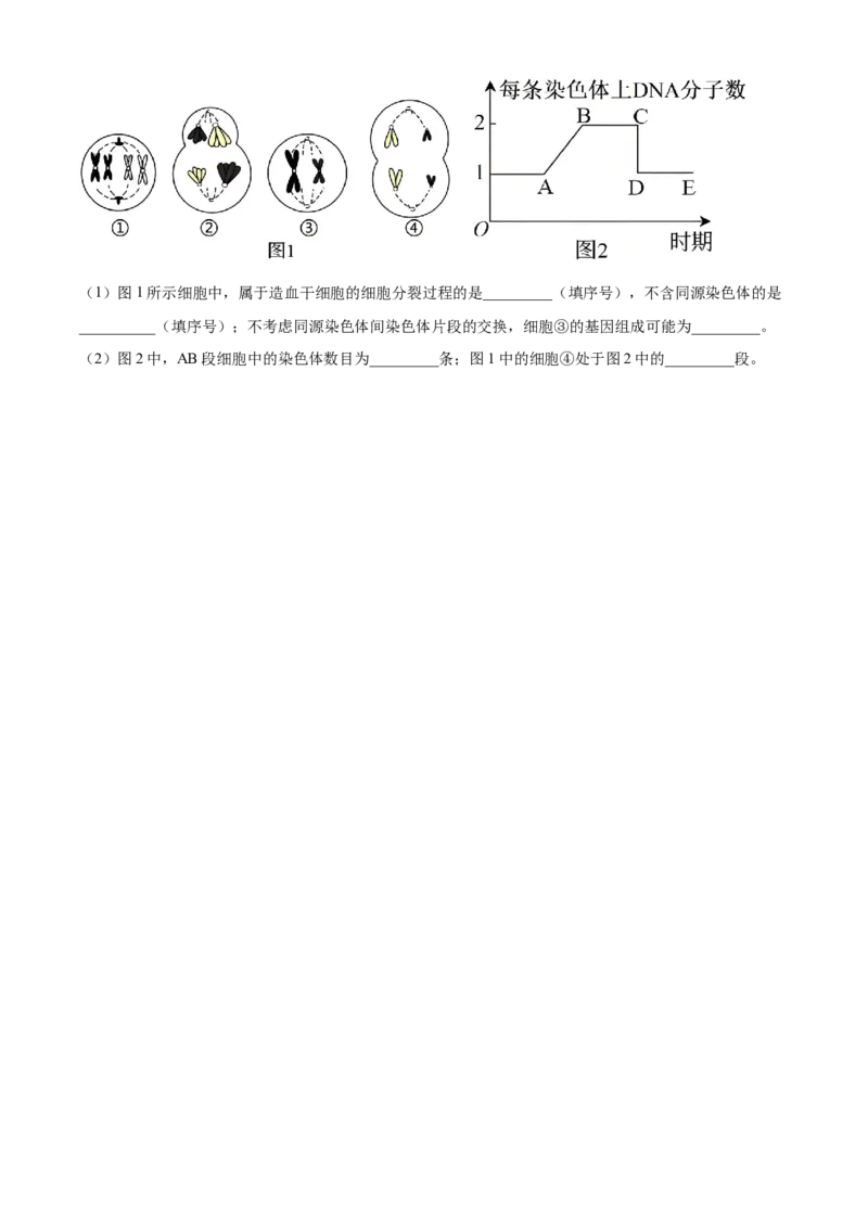 生物-百师联盟2025-2026学年高一下学期素养测评（一）_2026年04月高一试卷_260417百师联盟2025-2026学年高一下学期素养测评（一）