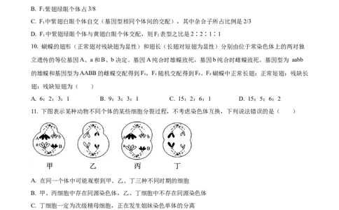 生物-百师联盟2025-2026学年高一下学期素养测评（一）_2026年04月高一试卷_260417百师联盟2025-2026学年高一下学期素养测评（一）
