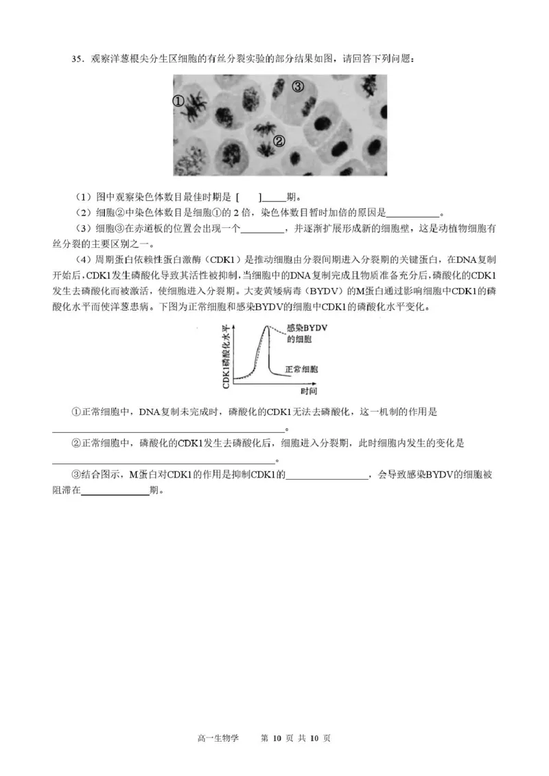 生物高一生物学_2026年01月高一试卷_260118黑龙江省哈尔滨市2025-2026学年高一上学期期末学业质量检测（全）