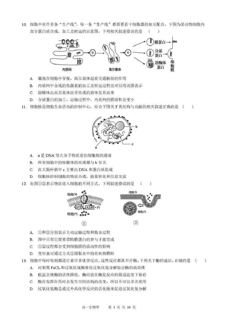 生物高一生物学_2026年01月高一试卷_260118黑龙江省哈尔滨市2025-2026学年高一上学期期末学业质量检测（全）