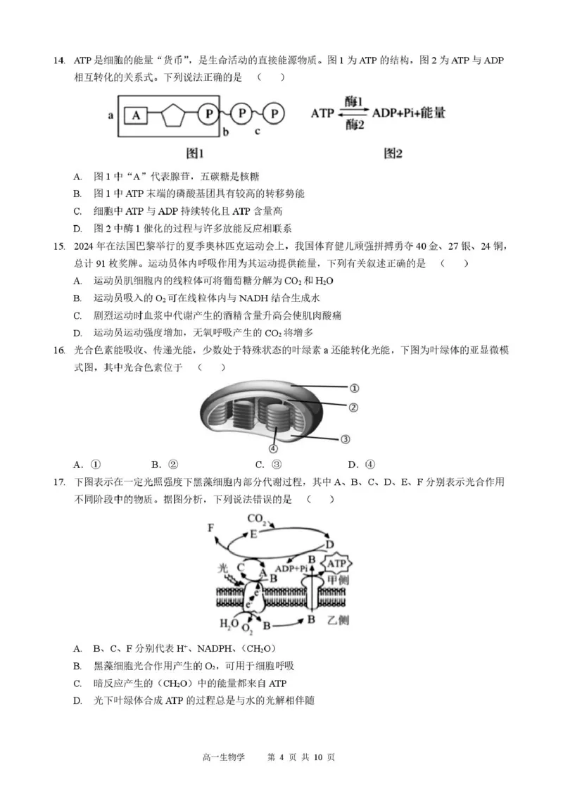 生物高一生物学_2026年01月高一试卷_260118黑龙江省哈尔滨市2025-2026学年高一上学期期末学业质量检测（全）