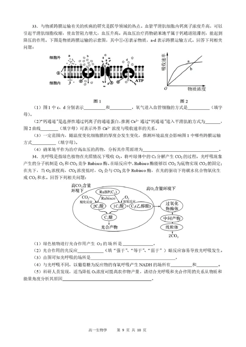 生物高一生物学_2026年01月高一试卷_260118黑龙江省哈尔滨市2025-2026学年高一上学期期末学业质量检测（全）