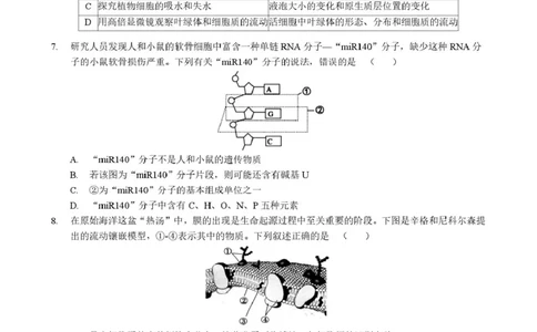 生物高一生物学_2026年01月高一试卷_260118黑龙江省哈尔滨市2025-2026学年高一上学期期末学业质量检测（全）