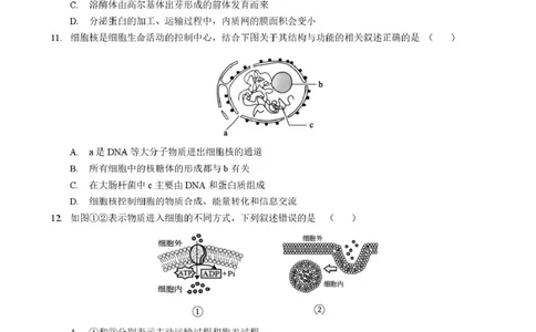 生物高一生物学_2026年01月高一试卷_260118黑龙江省哈尔滨市2025-2026学年高一上学期期末学业质量检测（全）