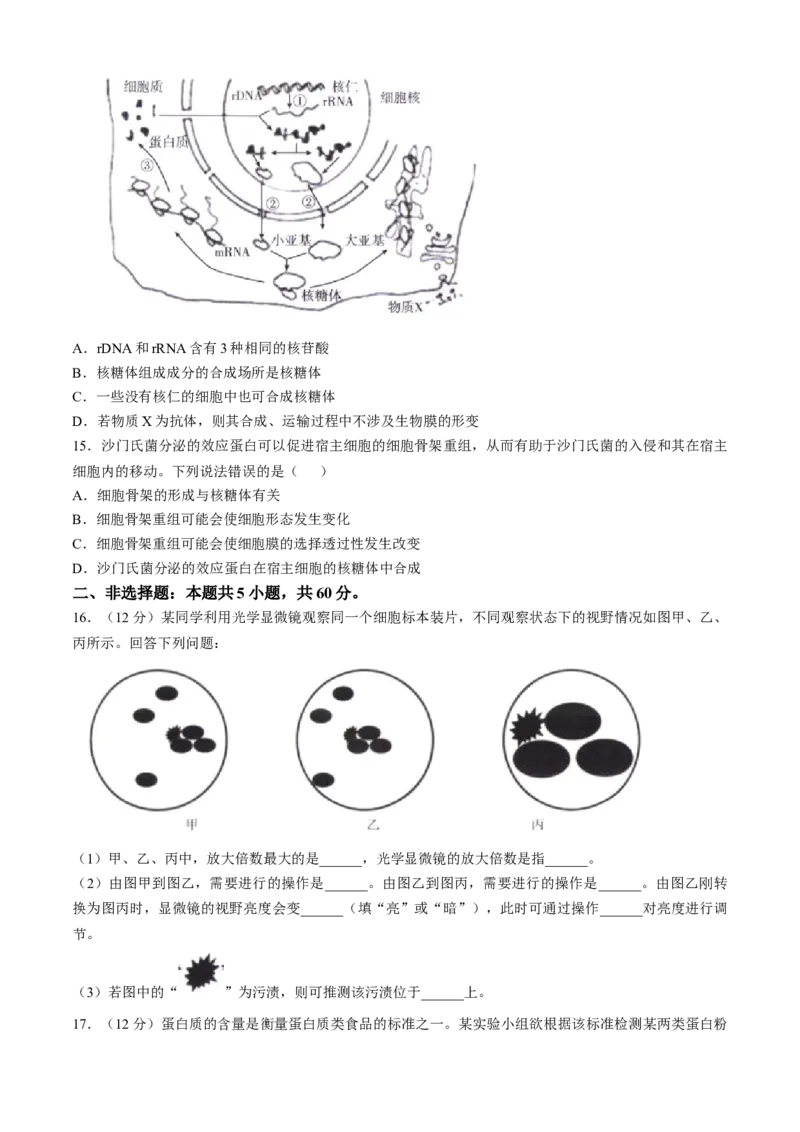 福建省宁德市部分达标学校2024-2025学年高一上学期11月期中质量监测生物试题_2024年11月试卷_1125福建省部分达标学校2024-2025学年高一上学期11月期中考试