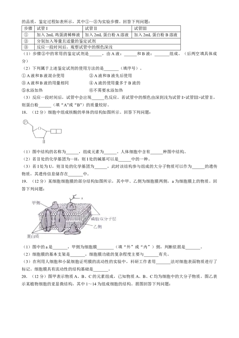 福建省宁德市部分达标学校2024-2025学年高一上学期11月期中质量监测生物试题_2024年11月试卷_1125福建省部分达标学校2024-2025学年高一上学期11月期中考试