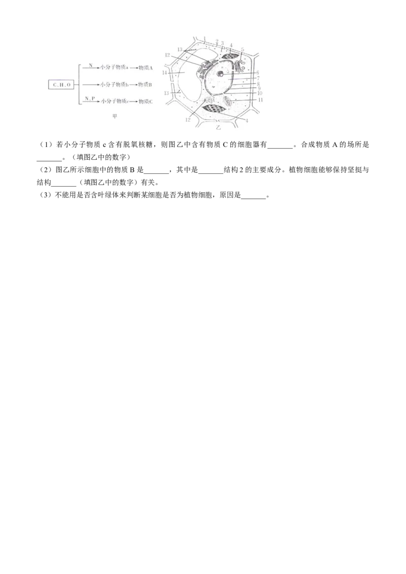 福建省宁德市部分达标学校2024-2025学年高一上学期11月期中质量监测生物试题_2024年11月试卷_1125福建省部分达标学校2024-2025学年高一上学期11月期中考试
