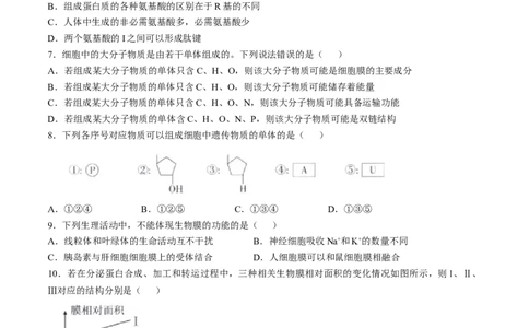 福建省宁德市部分达标学校2024-2025学年高一上学期11月期中质量监测生物试题_2024年11月试卷_1125福建省部分达标学校2024-2025学年高一上学期11月期中考试