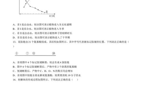 福建省宁德市部分达标学校2024-2025学年高一上学期11月期中质量监测生物试题_2024年11月试卷_1125福建省部分达标学校2024-2025学年高一上学期11月期中考试