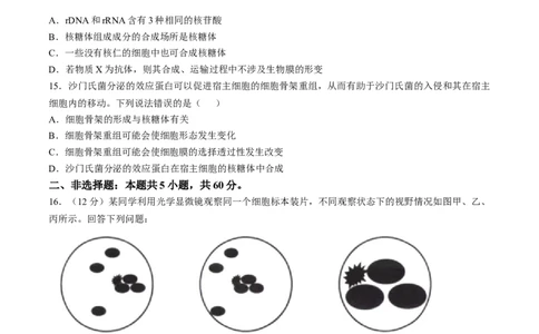 福建省宁德市部分达标学校2024-2025学年高一上学期11月期中质量监测生物试题_2024年11月试卷_1125福建省部分达标学校2024-2025学年高一上学期11月期中考试