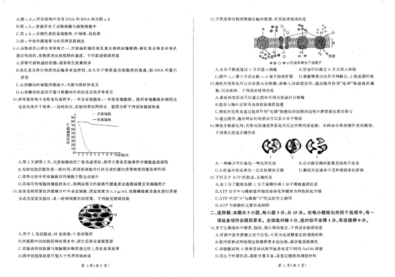 生物_2024年12月试卷_1212辽宁省朝阳市重点高中2024-2025学年高一上学期12月联考试题_辽宁省朝阳市重点高中2024-2025学年高一上学期12月联考试题生物PDF版含解析