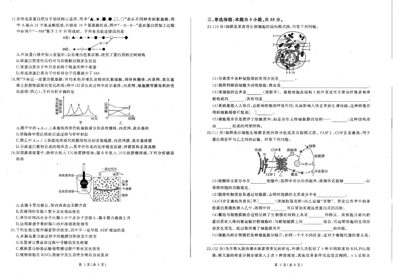 生物_2024年12月试卷_1212辽宁省朝阳市重点高中2024-2025学年高一上学期12月联考试题_辽宁省朝阳市重点高中2024-2025学年高一上学期12月联考试题生物PDF版含解析