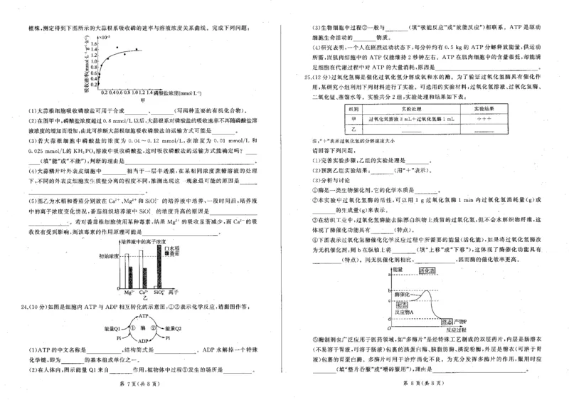 生物_2024年12月试卷_1212辽宁省朝阳市重点高中2024-2025学年高一上学期12月联考试题_辽宁省朝阳市重点高中2024-2025学年高一上学期12月联考试题生物PDF版含解析