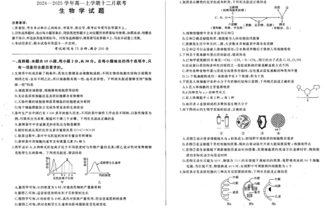 生物_2024年12月试卷_1212辽宁省朝阳市重点高中2024-2025学年高一上学期12月联考试题_辽宁省朝阳市重点高中2024-2025学年高一上学期12月联考试题生物PDF版含解析