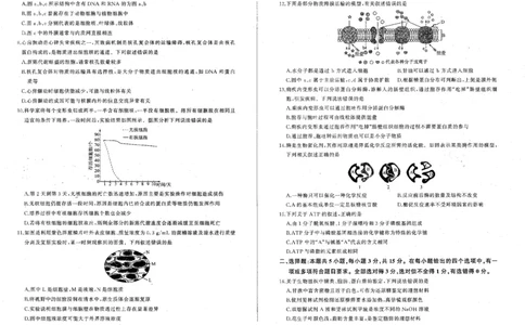 生物_2024年12月试卷_1212辽宁省朝阳市重点高中2024-2025学年高一上学期12月联考试题_辽宁省朝阳市重点高中2024-2025学年高一上学期12月联考试题生物PDF版含解析