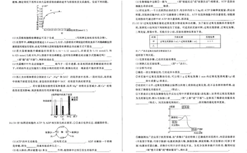生物_2024年12月试卷_1212辽宁省朝阳市重点高中2024-2025学年高一上学期12月联考试题_辽宁省朝阳市重点高中2024-2025学年高一上学期12月联考试题生物PDF版含解析