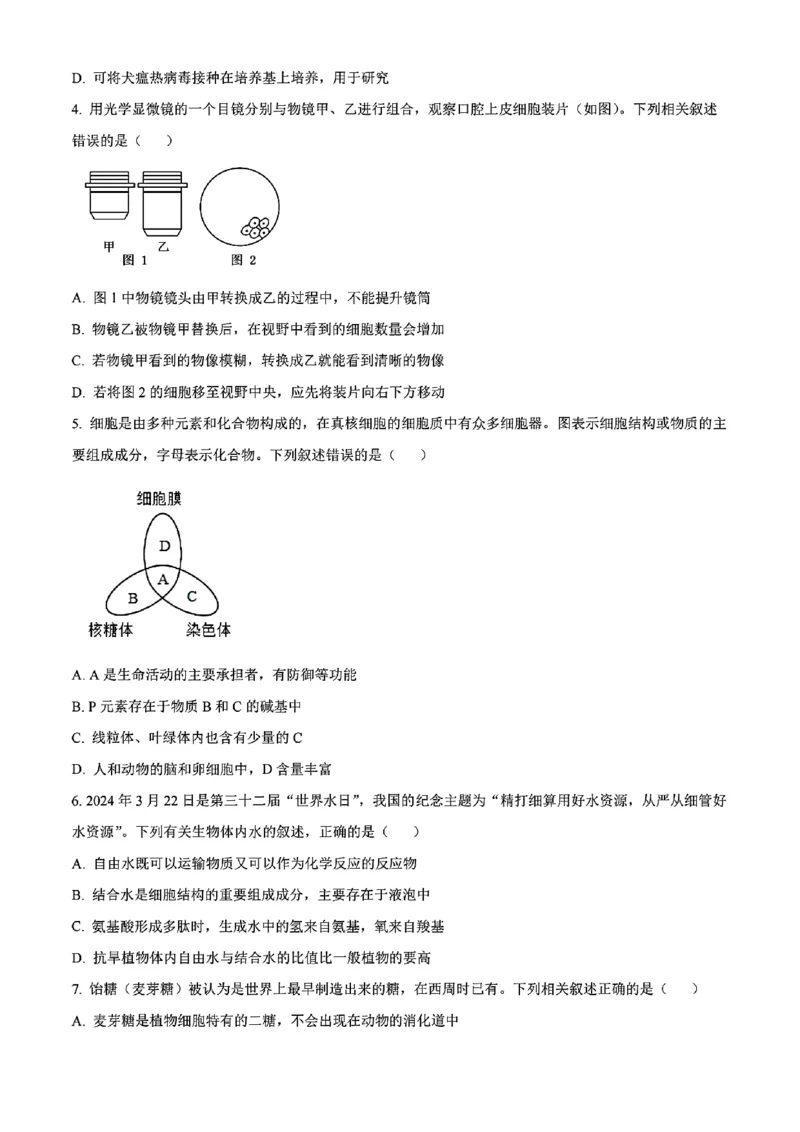 生物试题_2024年11月试卷_1115辽宁省沈阳市联合体2024-2025学年高一上学期11月期中考试_辽宁省沈阳市联合体2024-2025学年高一上学期11月期中考试生物试题含答案