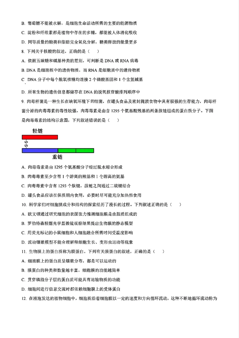 生物试题_2024年11月试卷_1115辽宁省沈阳市联合体2024-2025学年高一上学期11月期中考试_辽宁省沈阳市联合体2024-2025学年高一上学期11月期中考试生物试题含答案