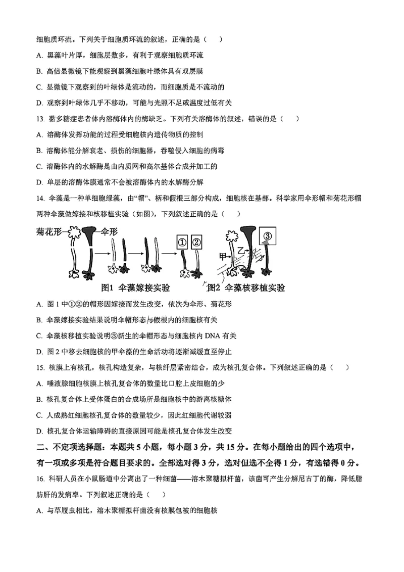生物试题_2024年11月试卷_1115辽宁省沈阳市联合体2024-2025学年高一上学期11月期中考试_辽宁省沈阳市联合体2024-2025学年高一上学期11月期中考试生物试题含答案