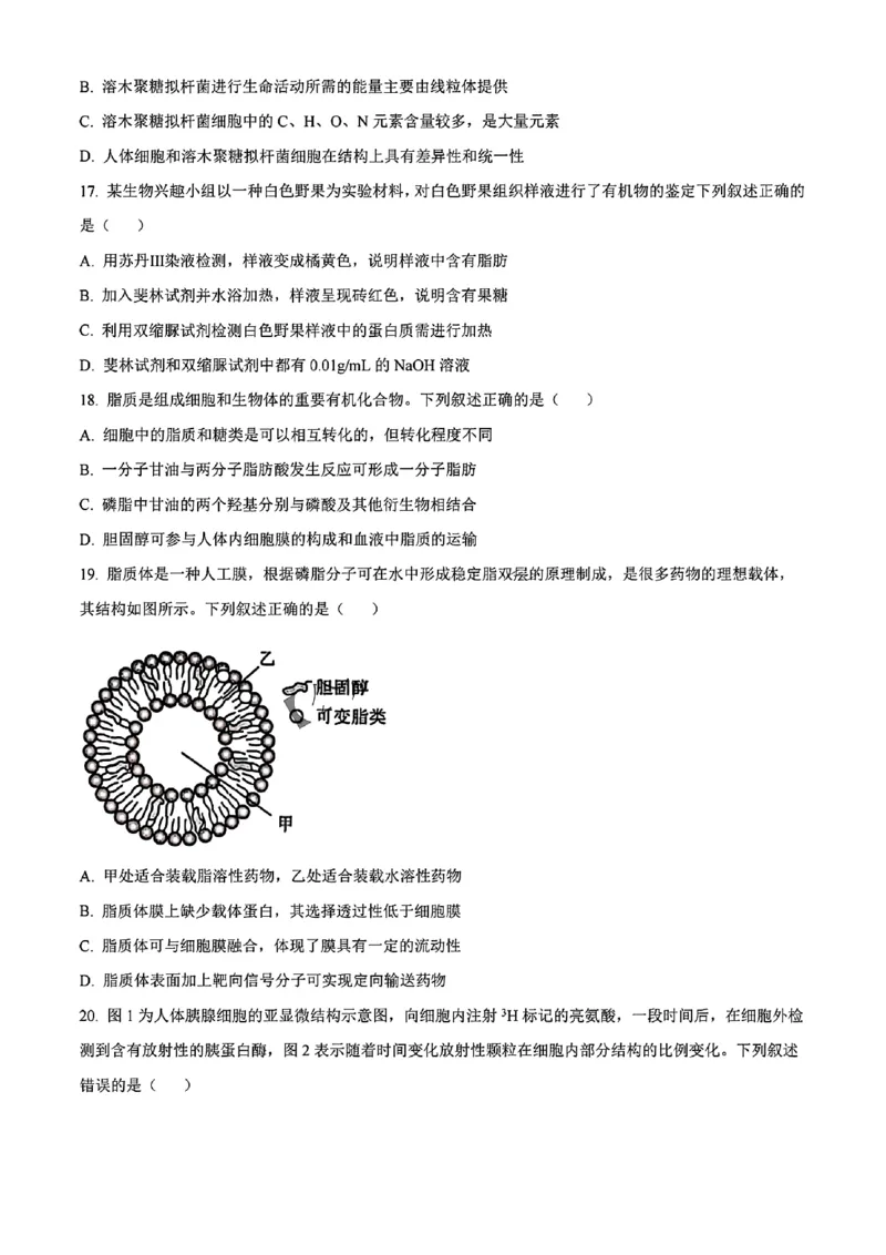 生物试题_2024年11月试卷_1115辽宁省沈阳市联合体2024-2025学年高一上学期11月期中考试_辽宁省沈阳市联合体2024-2025学年高一上学期11月期中考试生物试题含答案