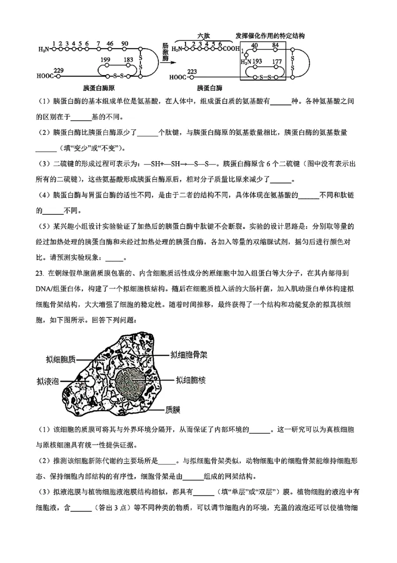 生物试题_2024年11月试卷_1115辽宁省沈阳市联合体2024-2025学年高一上学期11月期中考试_辽宁省沈阳市联合体2024-2025学年高一上学期11月期中考试生物试题含答案