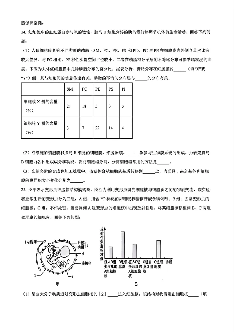 生物试题_2024年11月试卷_1115辽宁省沈阳市联合体2024-2025学年高一上学期11月期中考试_辽宁省沈阳市联合体2024-2025学年高一上学期11月期中考试生物试题含答案