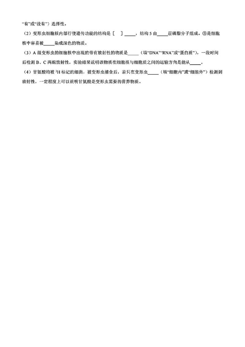 生物试题_2024年11月试卷_1115辽宁省沈阳市联合体2024-2025学年高一上学期11月期中考试_辽宁省沈阳市联合体2024-2025学年高一上学期11月期中考试生物试题含答案