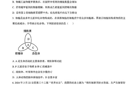 生物试题_2024年11月试卷_1115辽宁省沈阳市联合体2024-2025学年高一上学期11月期中考试_辽宁省沈阳市联合体2024-2025学年高一上学期11月期中考试生物试题含答案