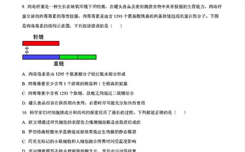生物试题_2024年11月试卷_1115辽宁省沈阳市联合体2024-2025学年高一上学期11月期中考试_辽宁省沈阳市联合体2024-2025学年高一上学期11月期中考试生物试题含答案