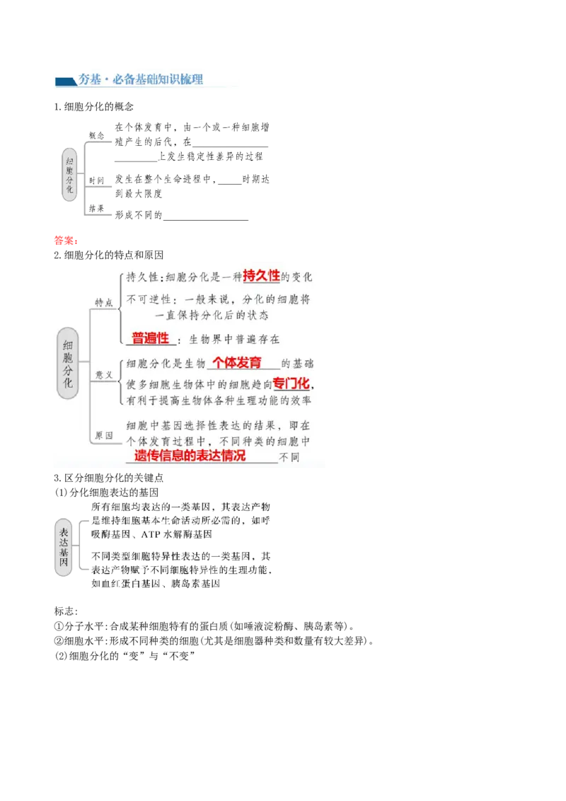第14讲细胞的分化、衰老、死亡和癌变（讲义）（学生版）_新高考复习资料_2024年新高考复习资料_一轮复习资料_完2024年高考生物一轮复习讲练测(课件+讲义+练习)（新高考）_讲义+练习