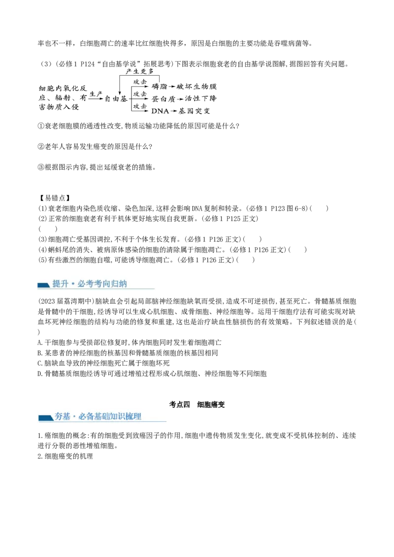 第14讲细胞的分化、衰老、死亡和癌变（讲义）（学生版）_新高考复习资料_2024年新高考复习资料_一轮复习资料_完2024年高考生物一轮复习讲练测(课件+讲义+练习)（新高考）_讲义+练习