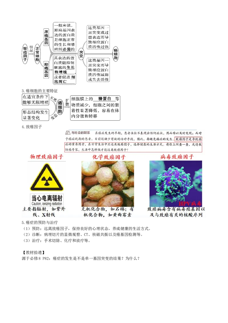 第14讲细胞的分化、衰老、死亡和癌变（讲义）（学生版）_新高考复习资料_2024年新高考复习资料_一轮复习资料_完2024年高考生物一轮复习讲练测(课件+讲义+练习)（新高考）_讲义+练习