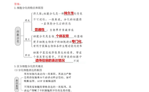 第14讲细胞的分化、衰老、死亡和癌变（讲义）（学生版）_新高考复习资料_2024年新高考复习资料_一轮复习资料_完2024年高考生物一轮复习讲练测(课件+讲义+练习)（新高考）_讲义+练习