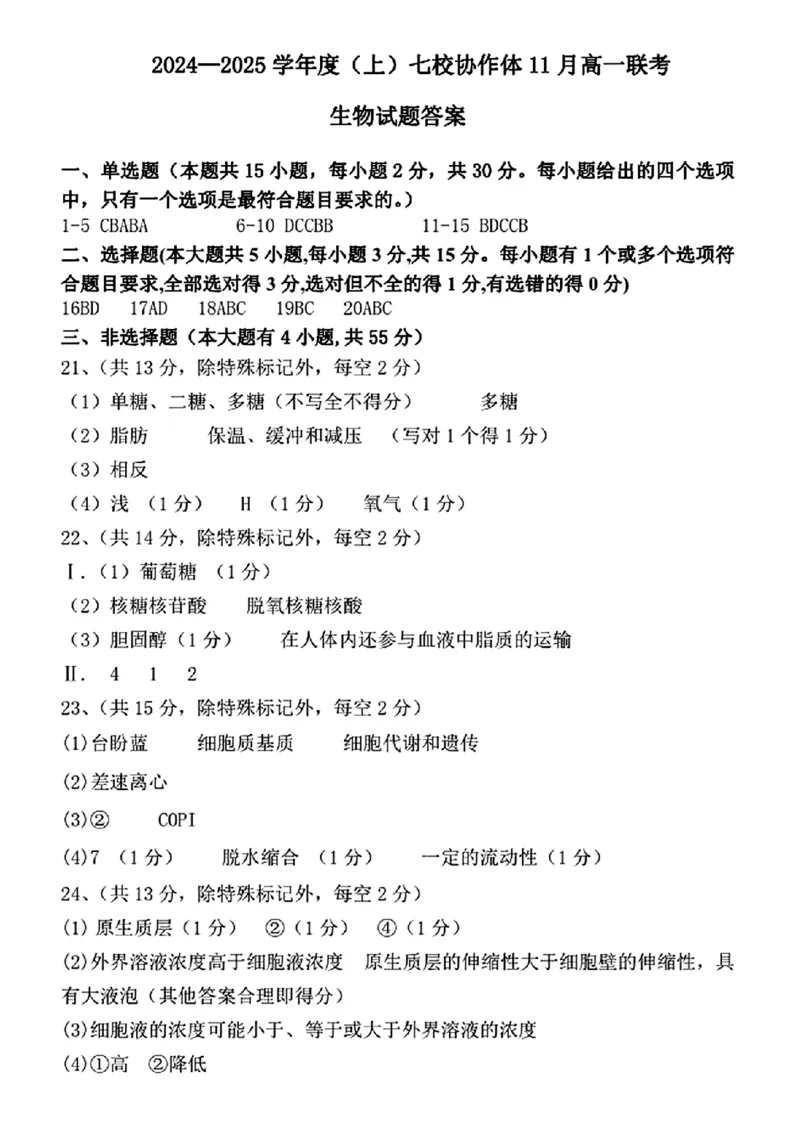 生物试题答案_2024年11月试卷_1128辽宁省丹东市名校协作2024-2025学年高一11月期中_辽宁省丹东市七校协作体2024-2025学年高一上学期期中考试生物试题（含答案）