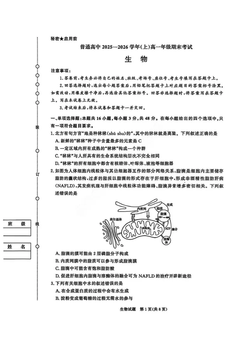 生物试卷_2026年02月高一试卷_260205青桐鸣大联考河南省普通高中2025-2026学年（上）高一年级期末考试（全）_河南省普通高中2025-2026学年（上）高一年级期末考试生物试题含答案